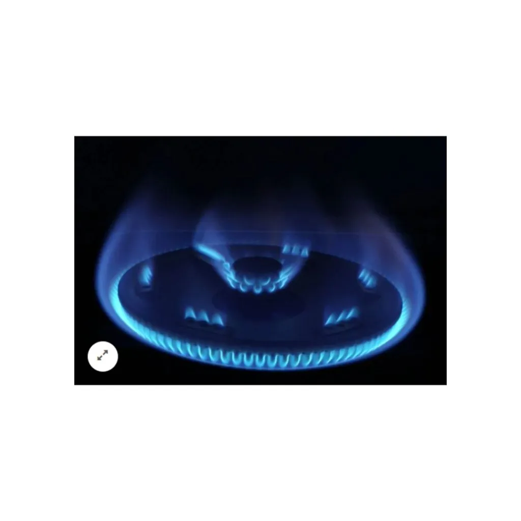 Rinnai Stainless Steel Double Ring Single Burner Gas Stove RI-511M