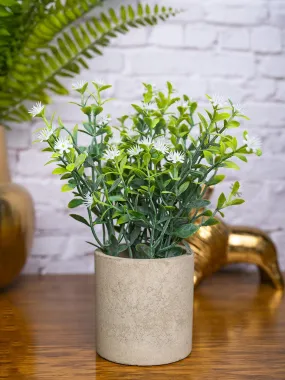 VON CASA White Artificial Potted Plant - Stone Finish