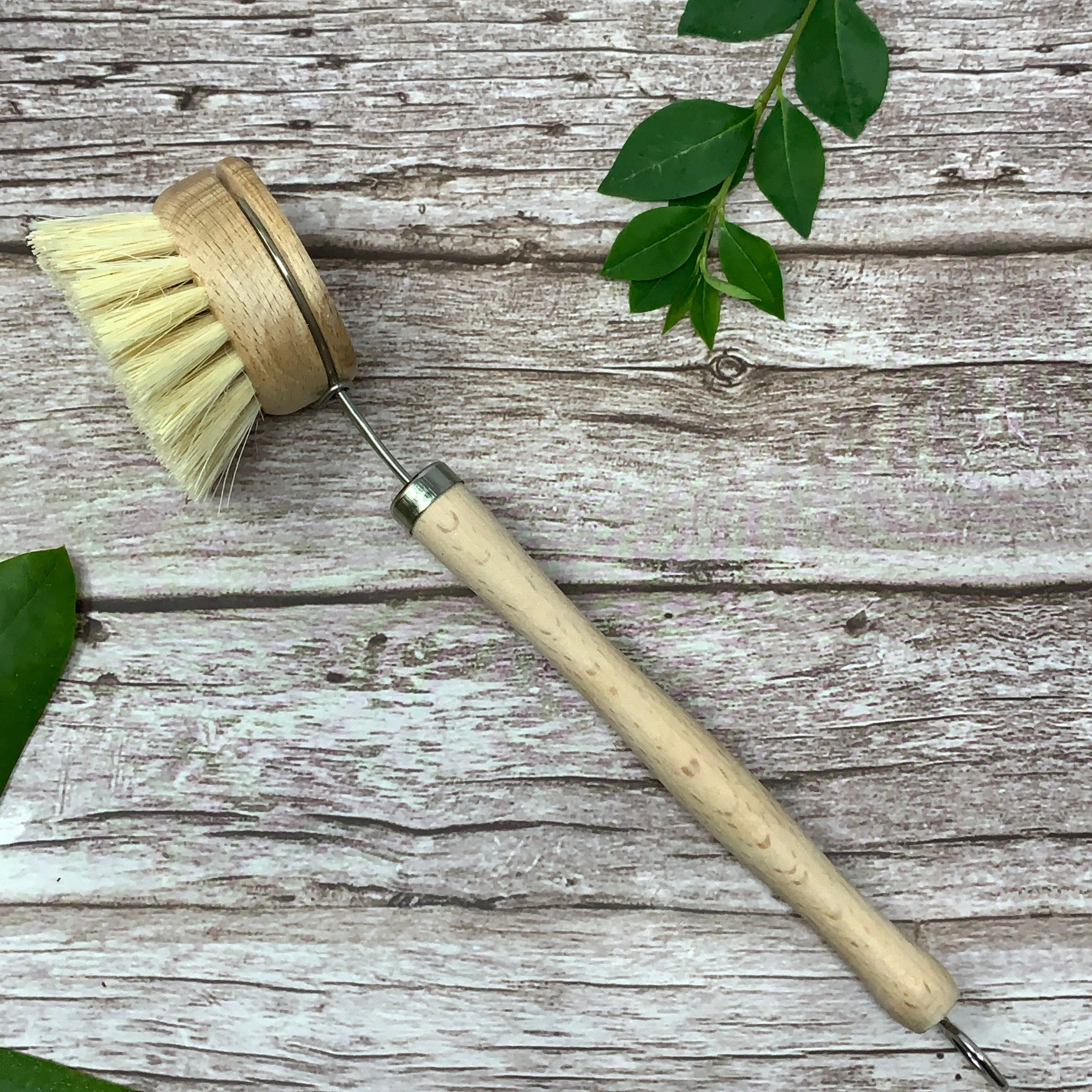 Wooden Dish Brush with Removable Head, Sisal Bristles, Beech Handle